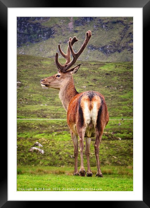 Majestic Highland Stag in Scotland Framed Mounted Print by Jane Braat