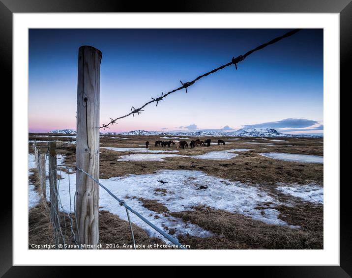 Myvatn sunset - The Fence Framed Mounted Print by Susan Witterick