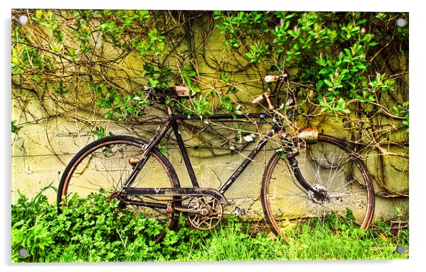 The Forgotten Bike Acrylic by Jim kernan
