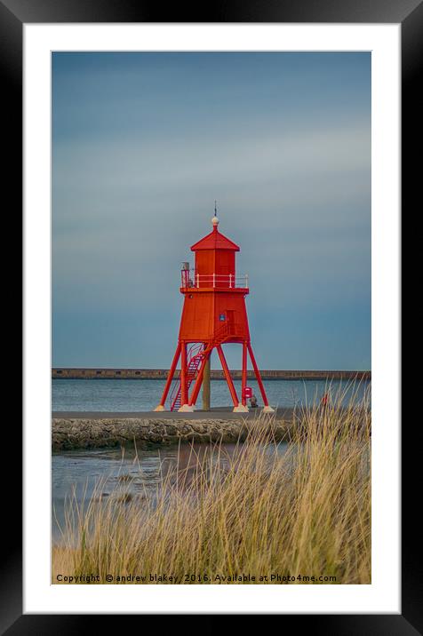 The Herd Groyne Framed Mounted Print by andrew blakey