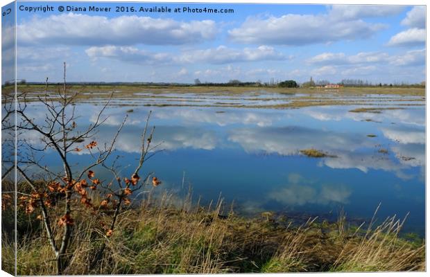 Tollesbury Marshes Essex Canvas Print by Diana Mower