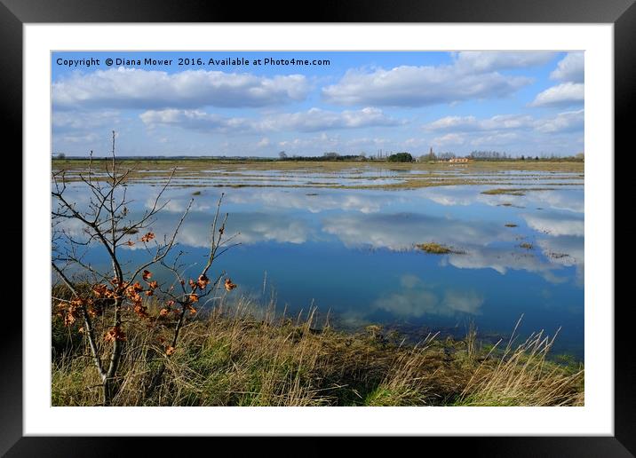 Tollesbury Marshes Essex Framed Mounted Print by Diana Mower