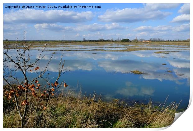 Tollesbury Marshes Essex Print by Diana Mower