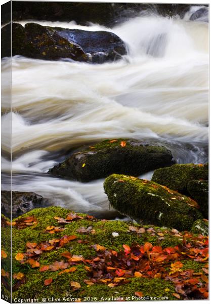 Water and Fire Canvas Print by Clive Ashton