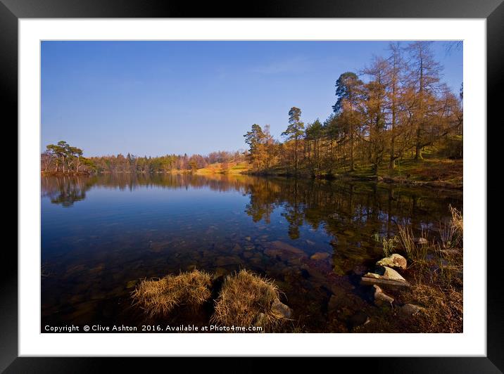 Tarn Hows Morning Framed Mounted Print by Clive Ashton