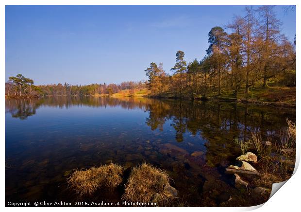 Tarn Hows Morning Print by Clive Ashton