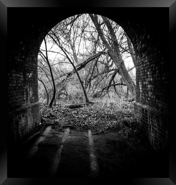 Spooky woodland tunnel  Framed Print by paul middleton