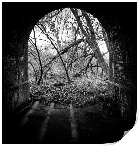 Spooky woodland tunnel  Print by paul middleton