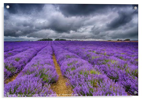 Snowshill Lavender Acrylic by John Cummings