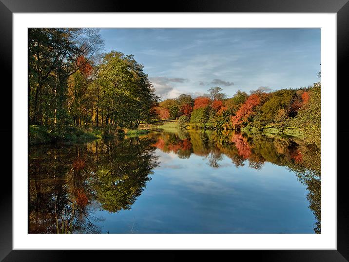 Reflectons at Browsholme  Framed Mounted Print by Irene Burdell