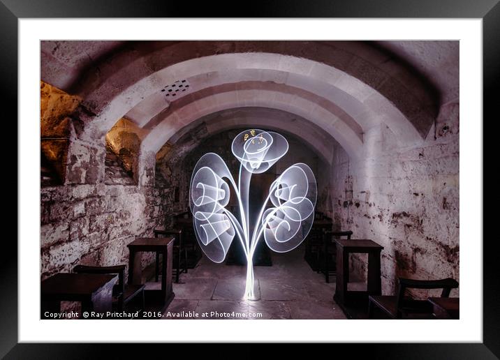 Light Tree in the Crypt Framed Mounted Print by Ray Pritchard