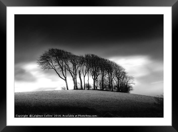 The Copse at Garngoch Common Framed Mounted Print by Leighton Collins