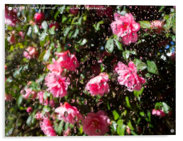 Camellia Shower Acrylic by Elizabeth Debenham