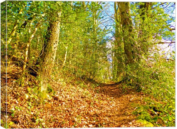 woodland trail Canvas Print by paul ratcliffe