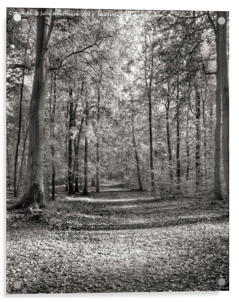 forest path Acrylic by Julie Woodhouse