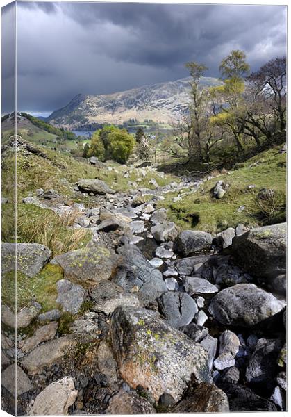 A stream down the valley Canvas Print by Stephen Mole