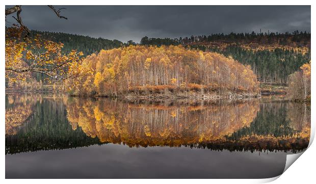 Loch Garry (Autumn Gold) Print by Paul Andrews