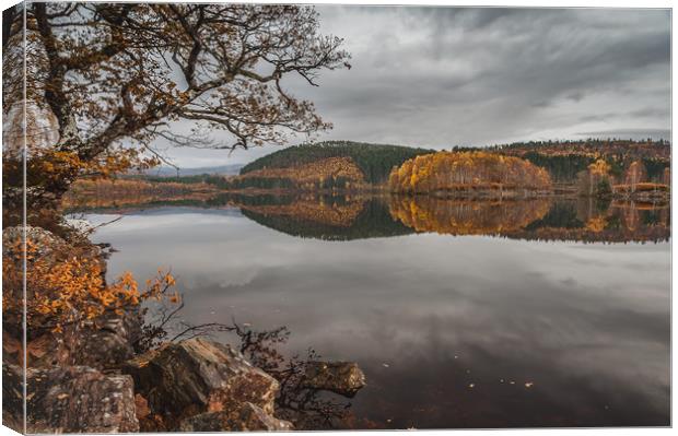 Autumn Gold at Loch Garry Canvas Print by Paul Andrews