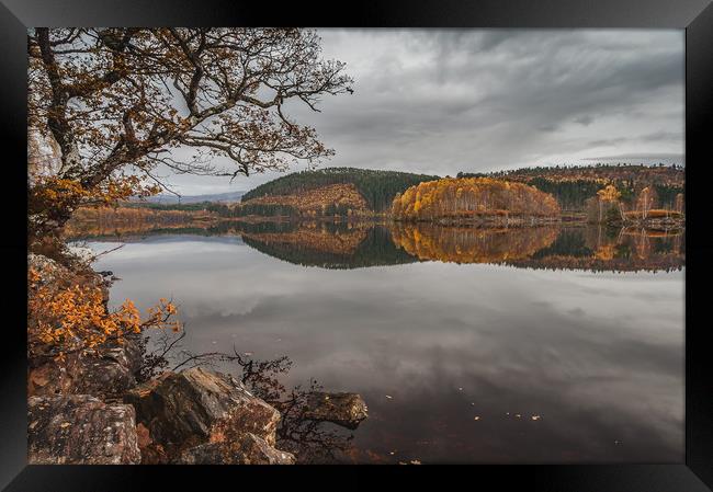 Autumn Gold at Loch Garry Framed Print by Paul Andrews