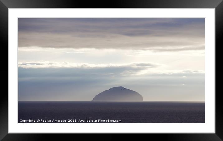 Evening Mist over Ailsa Craig Framed Mounted Print by Ros Ambrose