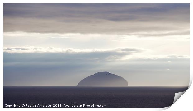 Evening Mist over Ailsa Craig Print by Ros Ambrose