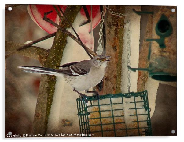 Mockingbird Acrylic by Frankie Cat