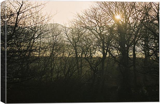 Morning Sun Canvas Print by Paul Heslop