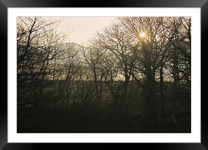 Morning Sun Framed Mounted Print by Paul Heslop