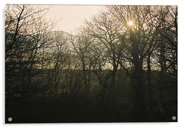 Morning Sun Acrylic by Paul Heslop