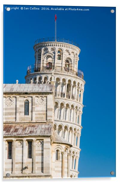 Leaning Tower, Pisa Acrylic by Ian Collins