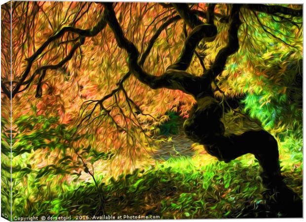 Acer Tree Impressions Canvas Print by Susie Peek
