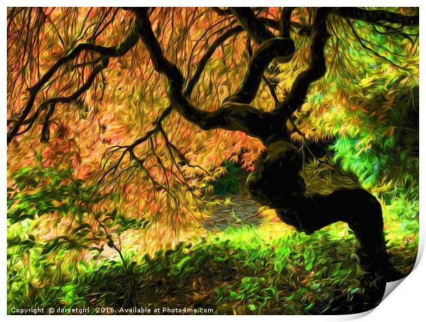 Acer Tree Impressions Print by Susie Peek