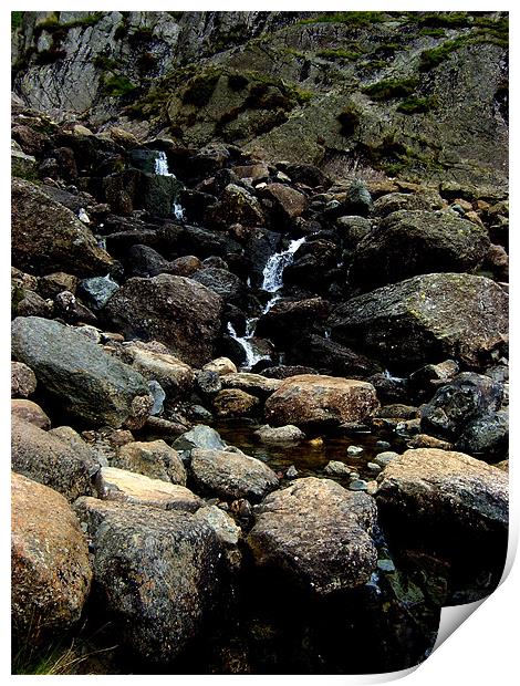 Stepping stones over Dungeon Ghyll Print by Tony Watson