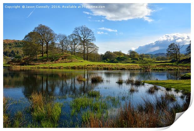 Elterwater Spring Print by Jason Connolly