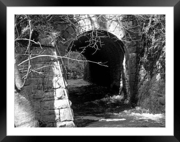 woodland tunnel Framed Mounted Print by paul ratcliffe