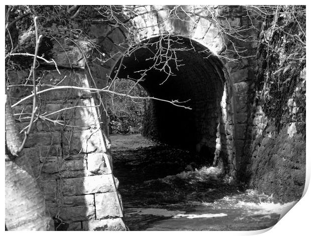 woodland tunnel Print by paul ratcliffe