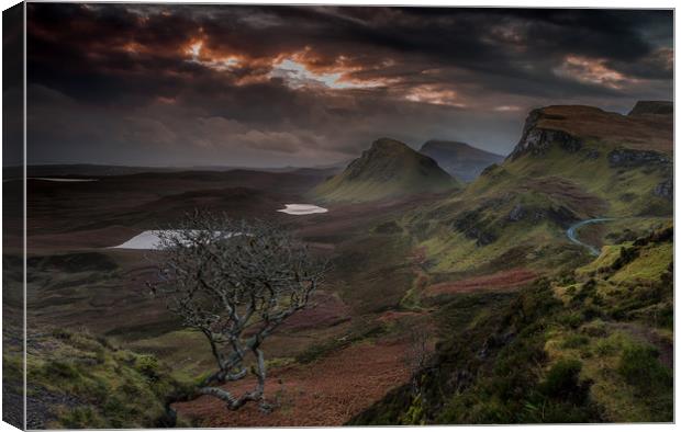 The Quiraing 4 Canvas Print by Paul Andrews
