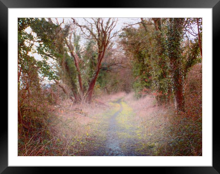 disused rail line Framed Mounted Print by paul ratcliffe