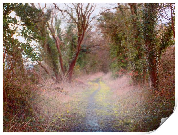 disused rail line Print by paul ratcliffe