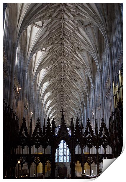 Winchester Cathedral Nave ceiling from the Quire. Print by Chris Day