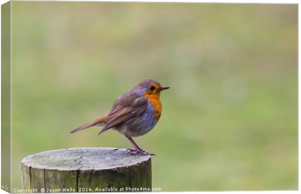 A Robin perched on a fence post in Norfolk Canvas Print by Jason Wells