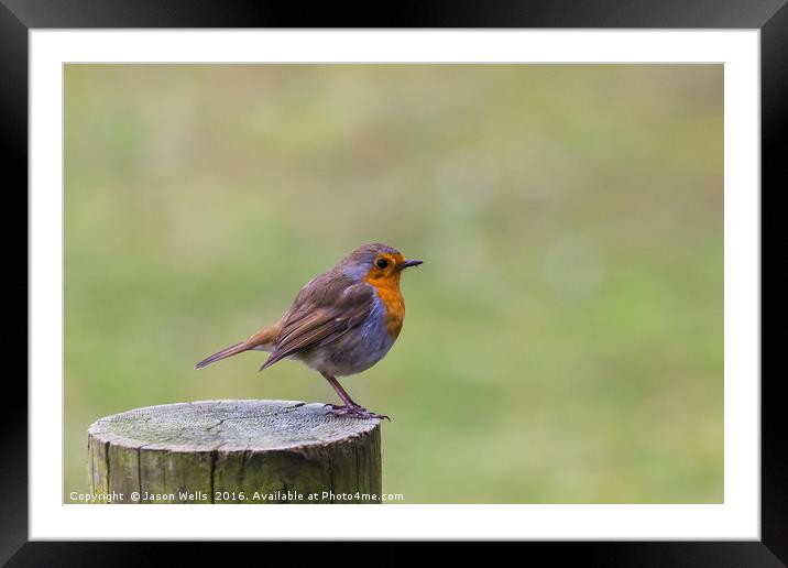 A Robin perched on a fence post in Norfolk Framed Mounted Print by Jason Wells