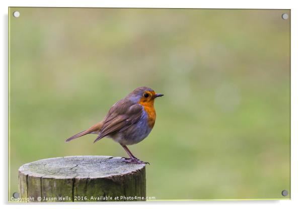 A Robin perched on a fence post in Norfolk Acrylic by Jason Wells