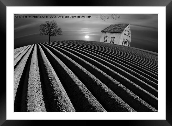 life isnt always so black and white  Framed Mounted Print by Heaven's Gift xxx68