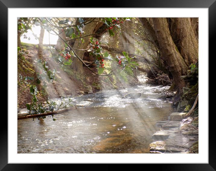 a peacefull spot Framed Mounted Print by paul ratcliffe