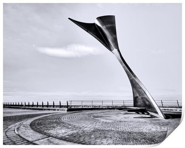 The Whale's Tail Print by David McCulloch