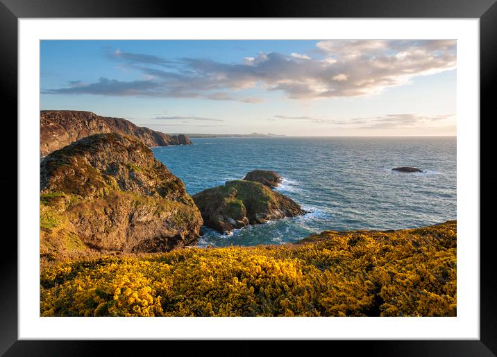 Pembrokeshire coast in spring Framed Mounted Print by Andrew Kearton