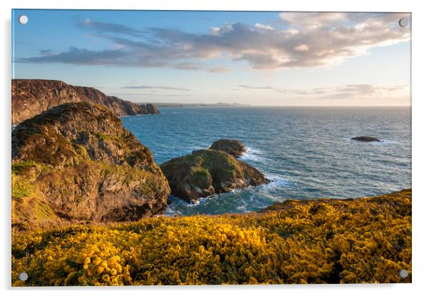Pembrokeshire coast in spring Acrylic by Andrew Kearton