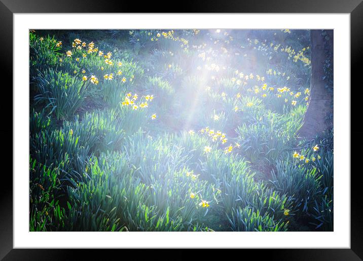 Springtime in Wales Framed Mounted Print by Richard Downs
