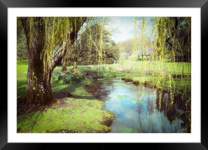 Tranquility Framed Mounted Print by Richard Downs